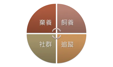 FURKID計畫 10 - Travel of Rice 小米遊記 FURKID計畫 10 - Travel of Rice 小米遊記