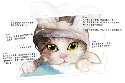 FURKID計畫 11 - Travel of Rice 小米遊記 FURKID計畫 11 - Travel of Rice 小米遊記