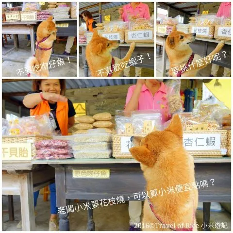 關於寵物友善環境 20 - Travel of Rice 小米遊記