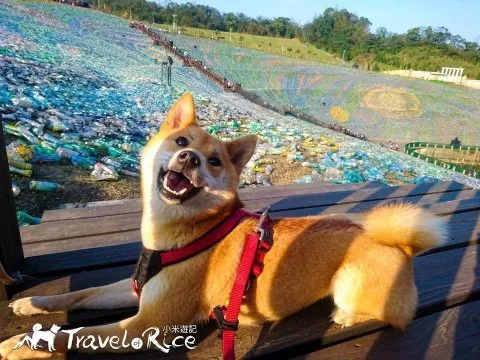 關於寵物友善環境 16 - Travel of Rice 小米遊記