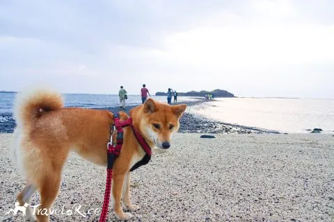 dsc00004