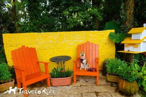 大溪花海 53 - Travel of Rice 小米遊記 dsc00058