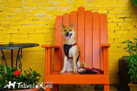 大溪花海 54 - Travel of Rice 小米遊記 dsc00062