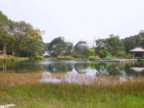 dsc00259