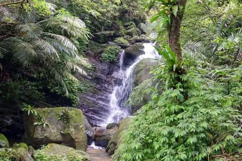 dsc00014-2