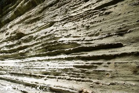 dsc00060-1