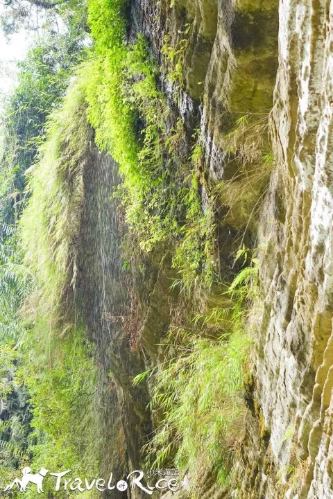 dsc00074-3