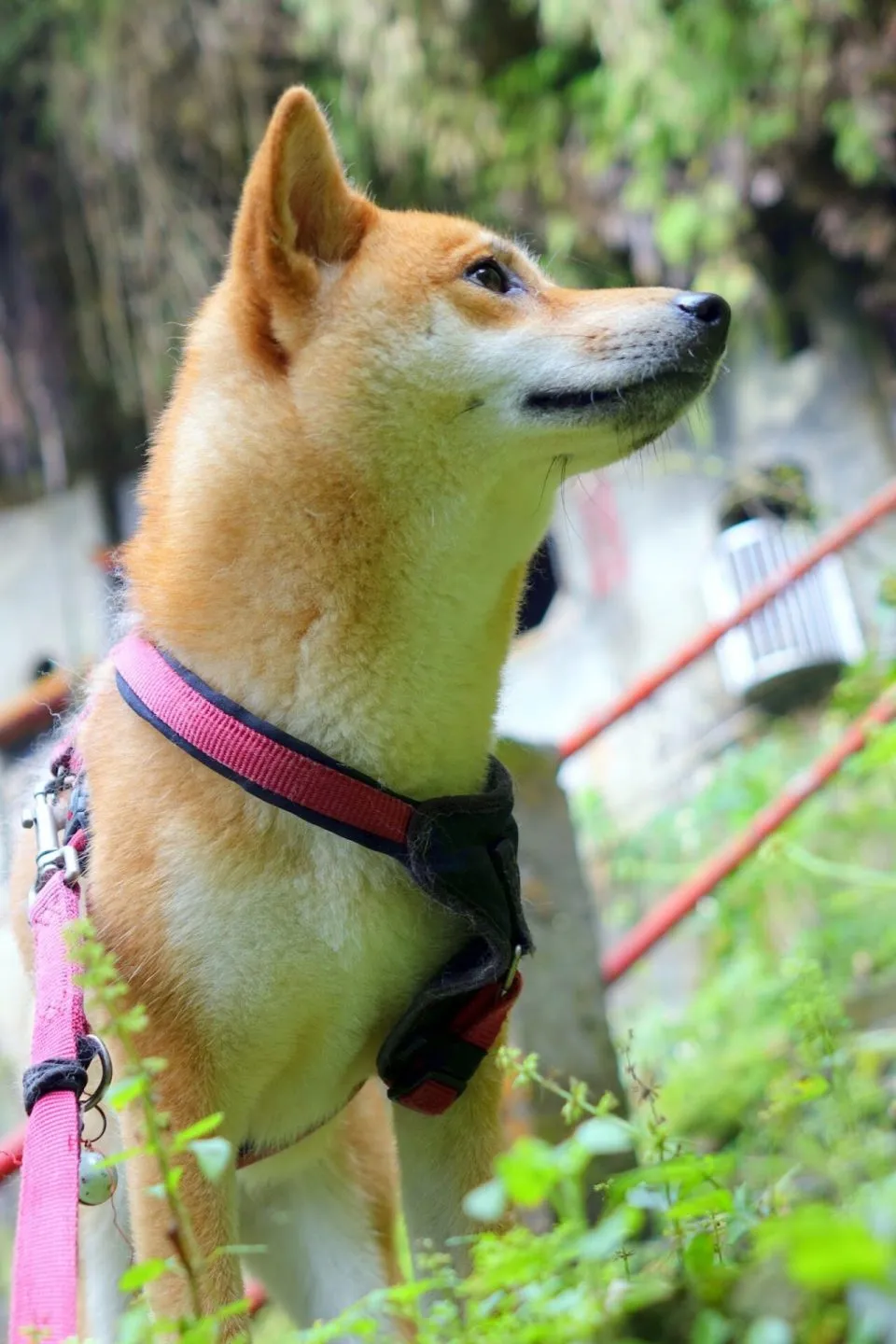 dsc00077