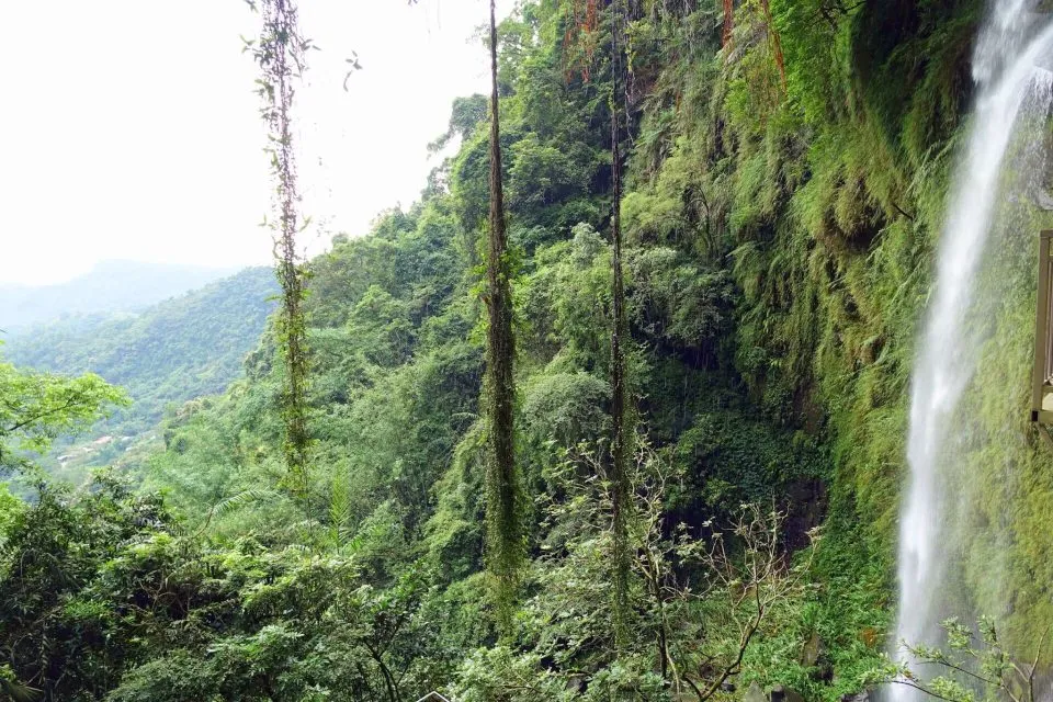 dsc00096-2