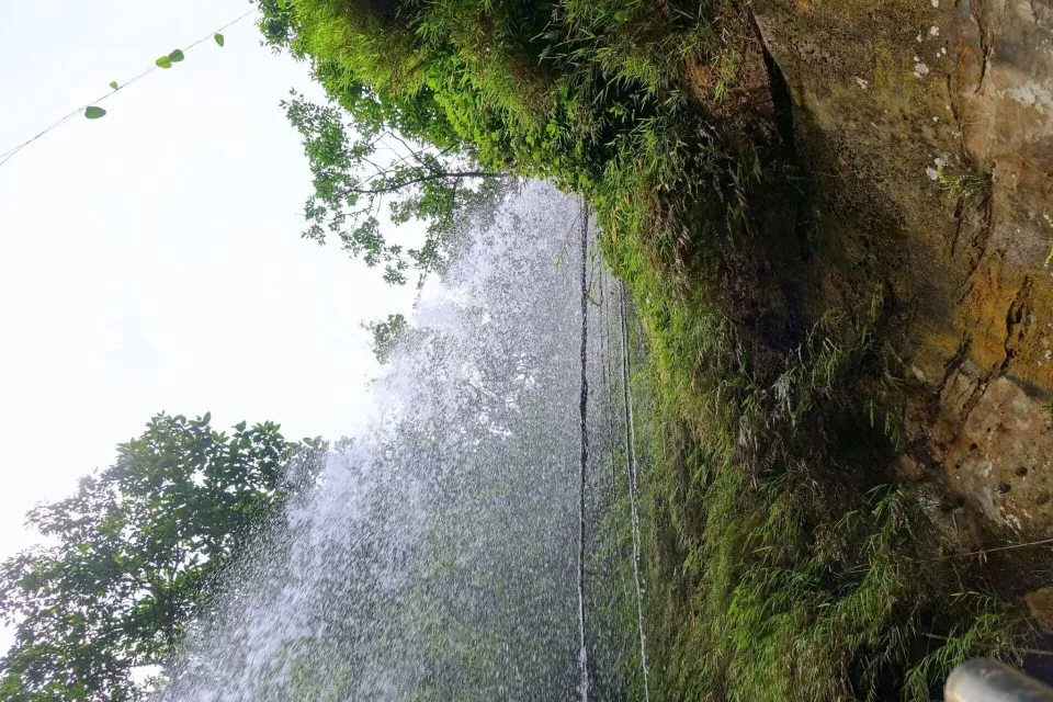 dsc00102-2