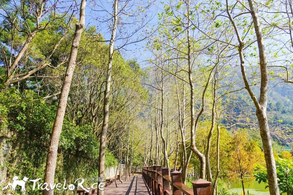 dsc00601