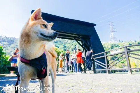 dsc00651