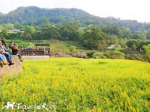 樟樹步道 60 - Travel of Rice 小米遊記 cimg6084-1