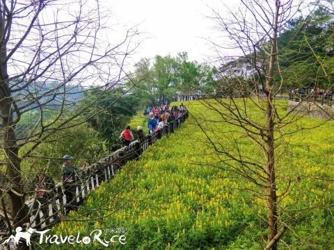 樟樹步道 64 - Travel of Rice 小米遊記 cimg6092-1