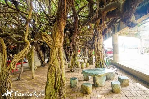dsc00084-3