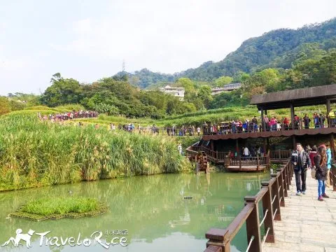 樟樹步道 57 - Travel of Rice 小米遊記 dsc00121-5