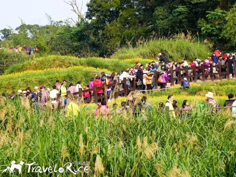 樟樹步道 63 - Travel of Rice 小米遊記 dsc00122