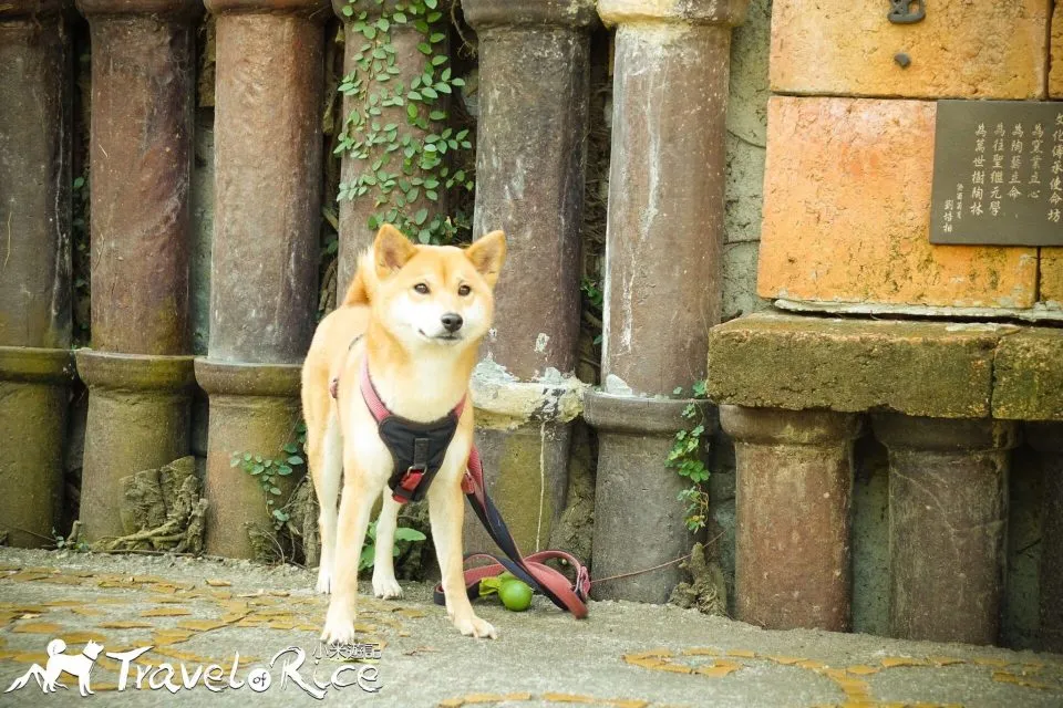 dsc00735