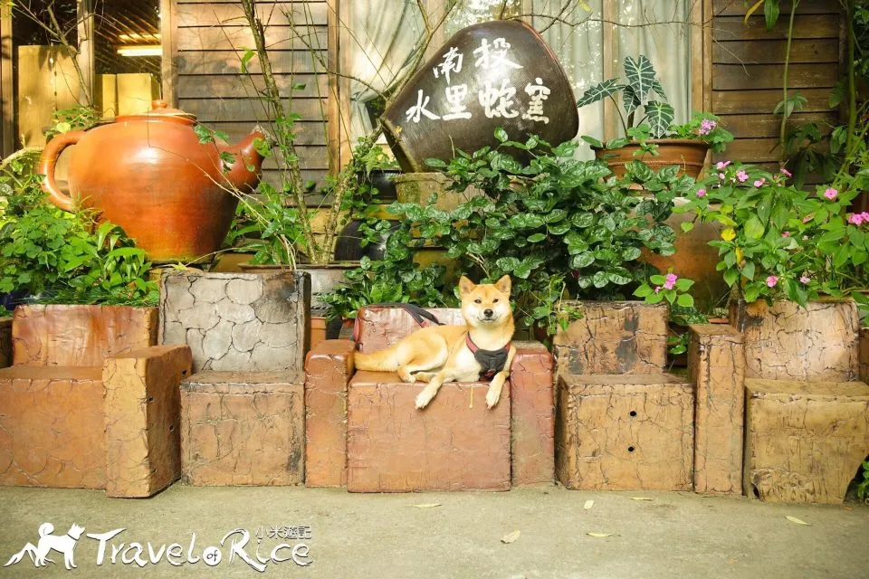 dsc00754