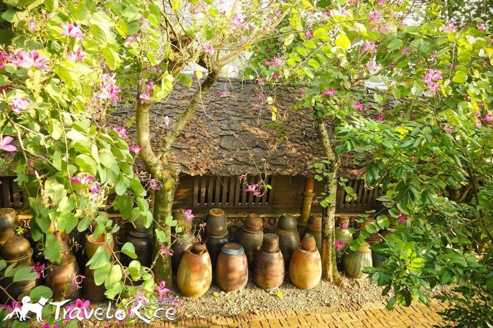 dsc00827