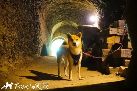 dsc00841