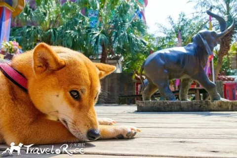 鄭再傳紀念公園 70 - Travel of Rice 小米遊記 dsc02037