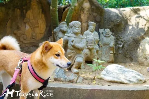 鄭再傳紀念公園 72 - Travel of Rice 小米遊記 dsc02043