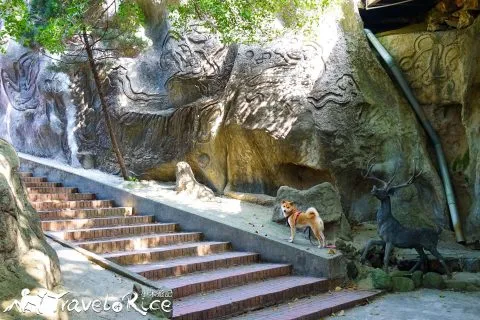 鄭再傳紀念公園 73 - Travel of Rice 小米遊記 dsc02046