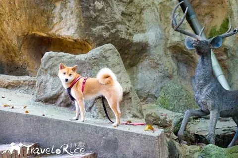 鄭再傳紀念公園 74 - Travel of Rice 小米遊記 dsc02047