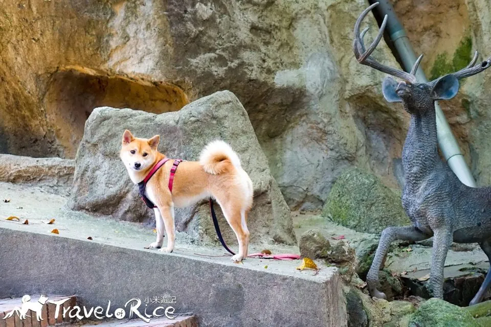 dsc02047