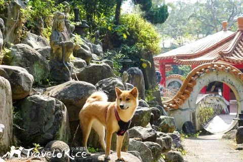 鄭再傳紀念公園 82 - Travel of Rice 小米遊記 dsc02090