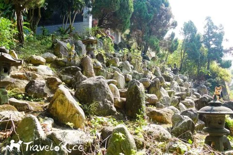 鄭再傳紀念公園 80 - Travel of Rice 小米遊記 dsc02097