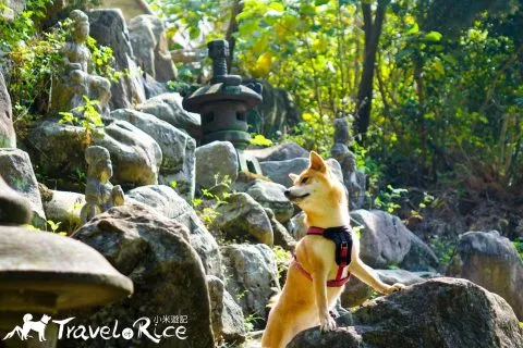 鄭再傳紀念公園 83 - Travel of Rice 小米遊記 dsc02098