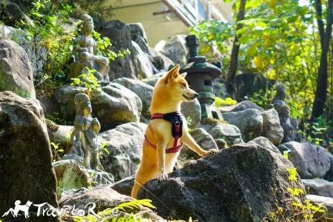 鄭再傳紀念公園 84 - Travel of Rice 小米遊記 dsc02099