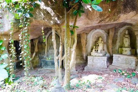 鄭再傳紀念公園 85 - Travel of Rice 小米遊記 dsc02102