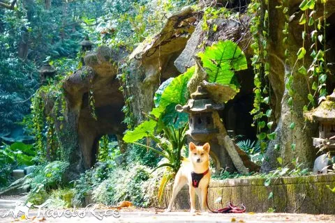 鄭再傳紀念公園 87 - Travel of Rice 小米遊記 dsc02110