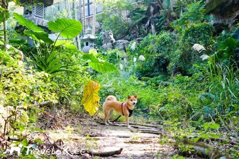 鄭再傳紀念公園 90 - Travel of Rice 小米遊記 dsc02123