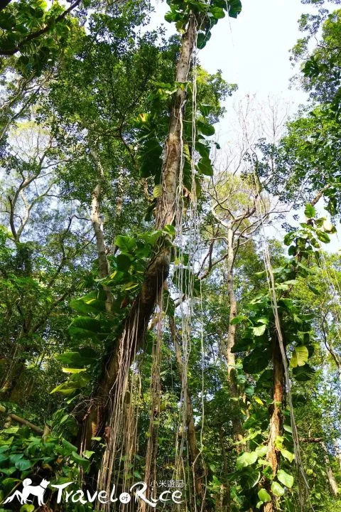 鄭再傳紀念公園 93 - Travel of Rice 小米遊記 dsc02131
