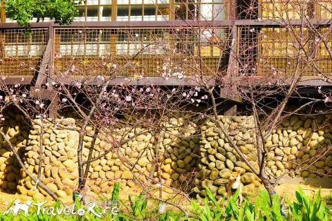 麗池公園 63 - Travel of Rice 小米遊記 dsc02177