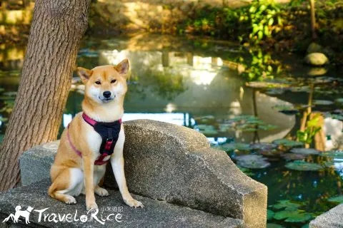 麗池公園 66 - Travel of Rice 小米遊記 dsc02193