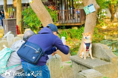 麗池公園 68 - Travel of Rice 小米遊記 dsc02197