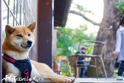 麗池公園 76 - Travel of Rice 小米遊記 dsc02223