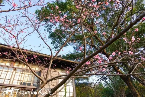 麗池公園 77 - Travel of Rice 小米遊記 dsc02233