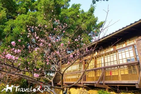 麗池公園 78 - Travel of Rice 小米遊記 dsc02235