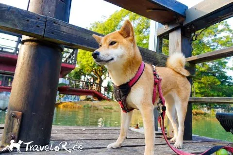 麗池公園 60 - Travel of Rice 小米遊記 dsc02244