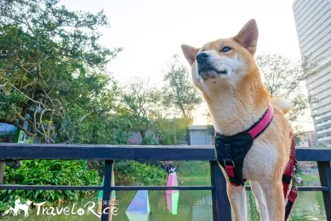 麗池公園 84 - Travel of Rice 小米遊記 dsc02254