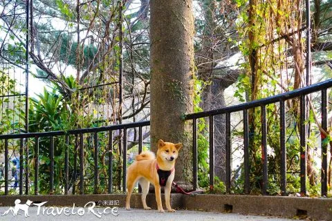 麗池公園 92 - Travel of Rice 小米遊記 dsc02266