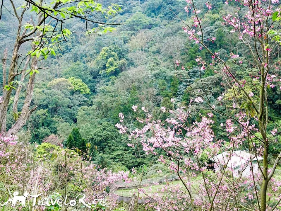 dsc02663