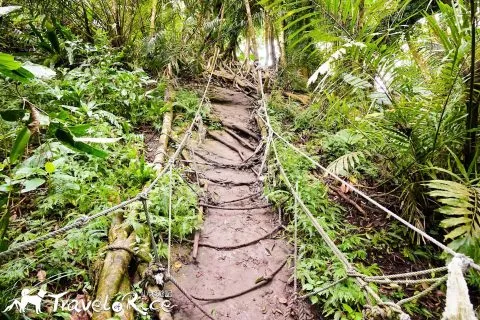 鸞山森林博物館 73 - Travel of Rice 小米遊記 dsc01716