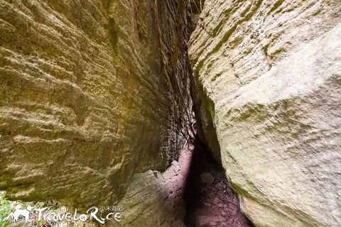 鸞山森林博物館 74 - Travel of Rice 小米遊記 dsc01720